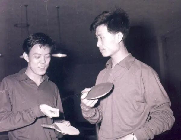 圖片