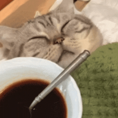 GIF_20250211201958865.gif