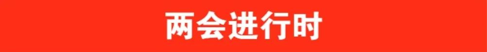 兩會(huì)進(jìn)行時(shí).jpg
